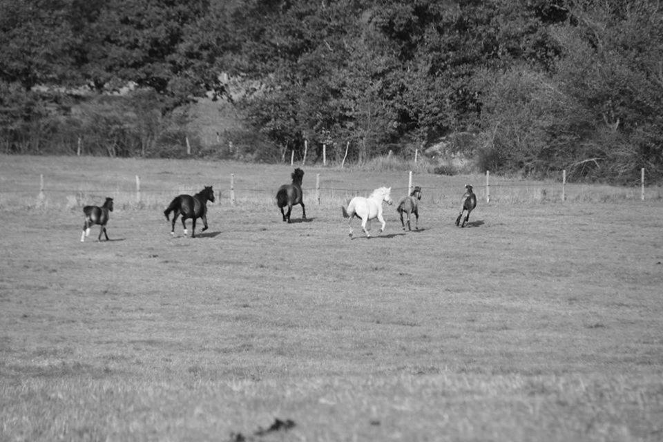 Petit Gite A La Ferme Villa Rosnay  Eksteriør bilde
